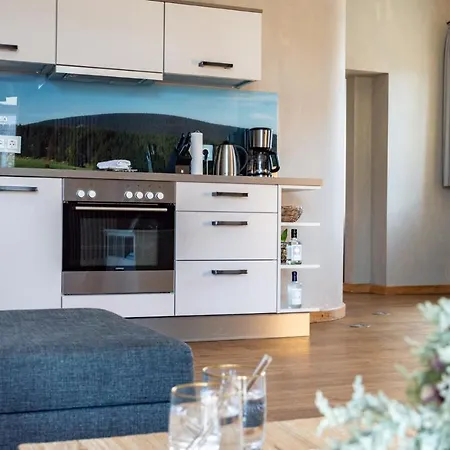 Apartment Strandberg's Stadt Braunlage