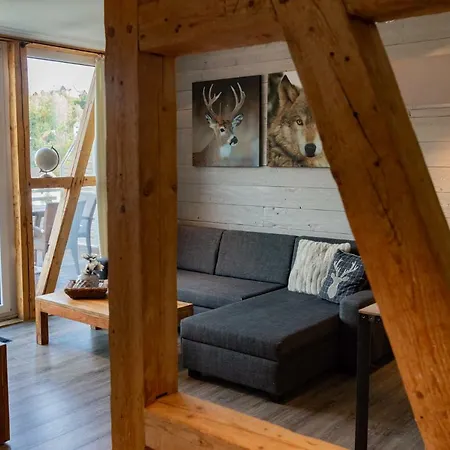 Apartment Strandberg's Stadt Braunlage