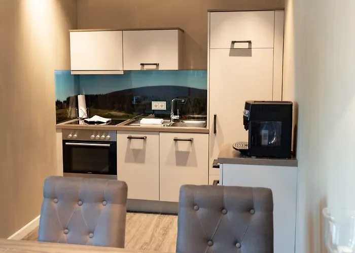 Strandberg's Stadt Apartman